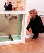 A viewer examines Hirst's sheep exhibit