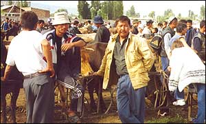 Karakul Cattle Market