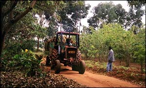 Farm in central Africa