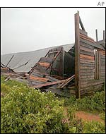 Tobacco crops damaged by Hurricane Isidore in Pinar del Rio, western Cuba