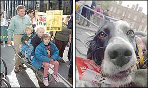 Countryside march in London