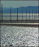 Holy Island mudflats - freefoto.com