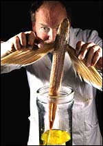 Darwin Centre, The Natural History Museum