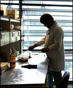 Darwin Centre, The Natural History Museum