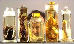 Darwin Centre, The Natural History Museum