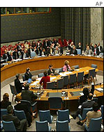 UN Security Council