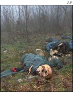 The dead were either rounded up and executed, or hunted down in the woods 