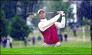 Tiger Woods chips his way out of a bunker as he and Davis Love III recover form a bad start to beat their European opponents 4&3