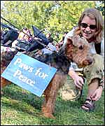 A dog wears a 'Paws for Peace'