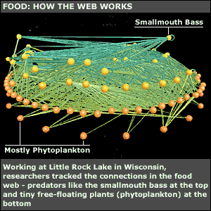 Food web, PNAS