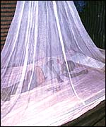 Mosquito net, who, tdr, Janet Hemingway