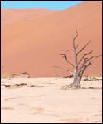 Namibian desert