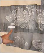 Eduardo Freire points to a map of Boror� Island