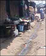 Vegetable stall in Kibera