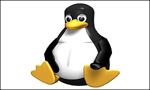 Penguin, symbol of Linux