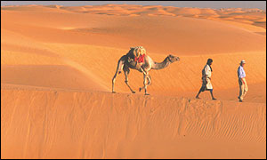 Michael Palin's Sahara