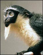 Lindsay Magnuson/Humbolt State Uni