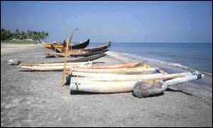 Courtesy of Proceedings of the National Academy of Sciences