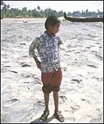 Courtesy of Proceedings of the National Academy of Sciences