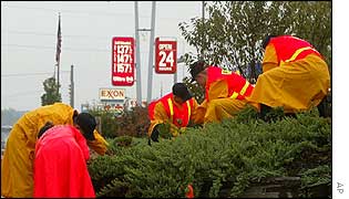 Police hunt through bushes near the scene of Wednesday's killing