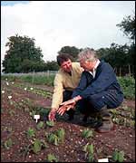 Two men in crop field BBC