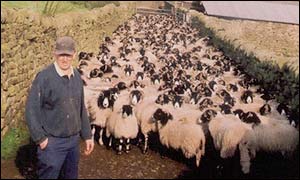 Geoff Walker and sheep on Brennand Farm