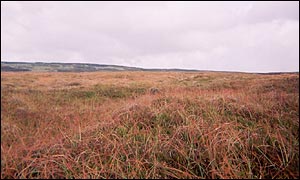 Pic taken at centre of Great Britain