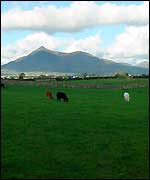 The South Down countryside