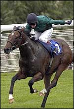 Binanti, ridden by Jimmy Quinn, finished a surprise third