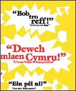 Yellow card produced for football fans by the Welsh Language Board 
