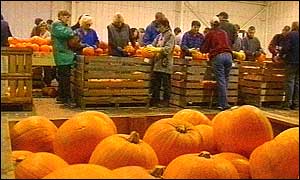 Processing pumpkins