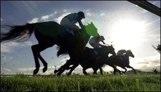 Horse racing