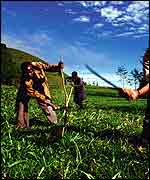 Clearing land for agriculture Juan Pablo Moreiras/Fauna & Flora International