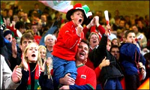 Wales fans, Millennium Stadium
