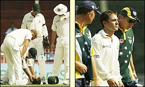 Langer suffers from concussion after being hit on the head with the ball while fielding in the slips