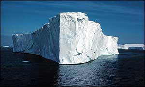 Iceberg