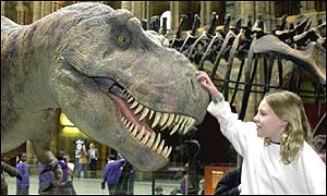 T-Rex at the National History Museum