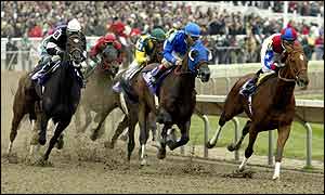 Azeri, ridden by Mike Smith, leads the field at the Breeders' Cup Distaff