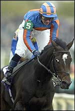 Mick Kinane and High Chaparral come home to win the Breeders' Cup Turf race. 