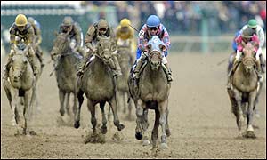 The 40-1 shot came home by six-and-a-half lengths from Medaglia d'Oro, with Milwaukee Brew in third