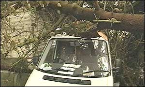 A van crushed by a tree