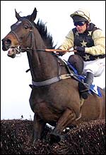 Adrian Maguire in action earlier this season