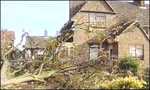 Whittington, Norfolk: a man was trapped beneath a fallen beech tree 