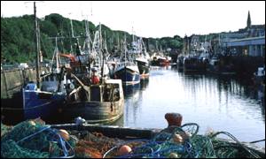Eyemouth harbour