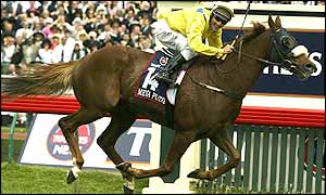 Media Puzzle, ridden by Damien Oliver, crosses the line to notch up Europe's first win in the Melbourne Cup since 1993