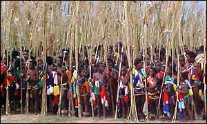 Swazi reed dance (photo: Chris Hughes)