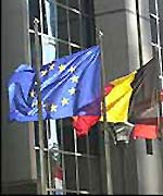 EU flags
