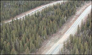 Alaska quake, Peter Haeussler, US Geological Survey