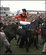 Dawn Run and Jonjo O'Neill after winning the Cheltenham Gold Cup