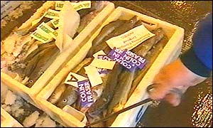 The next stage of the journey